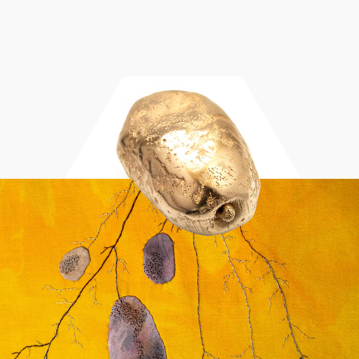 Solanum by Elin Flognman and Sara Erkers